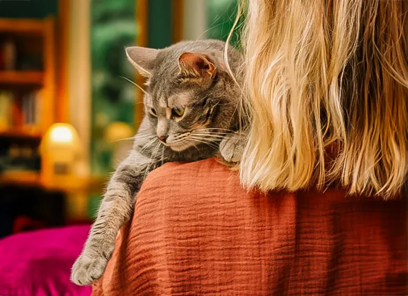 Per què convé fer el procés d’incineració del teu gat amb Artemis?