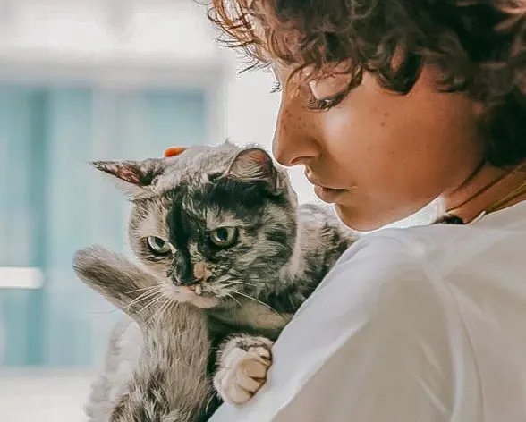 Quan és el millor moment per a prendre una decisió?