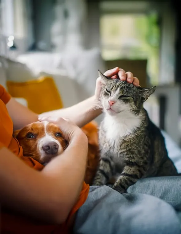 Com es pot gestionar el dol per la mort d’una mascota?