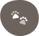 servicios funerarios para tu mascota
